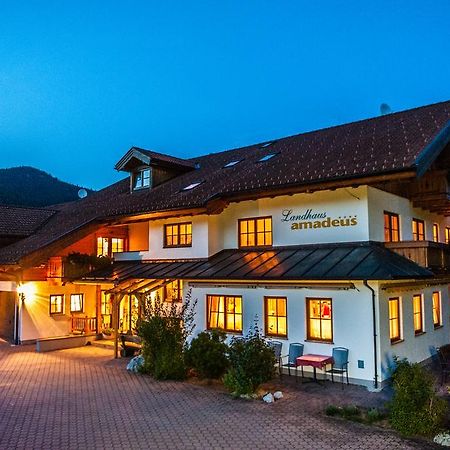 Resort Amadeus-Landhaus Amadeus Grobming Extérieur photo